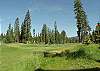View from back to golf course
