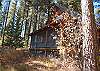 Screened Back Porch