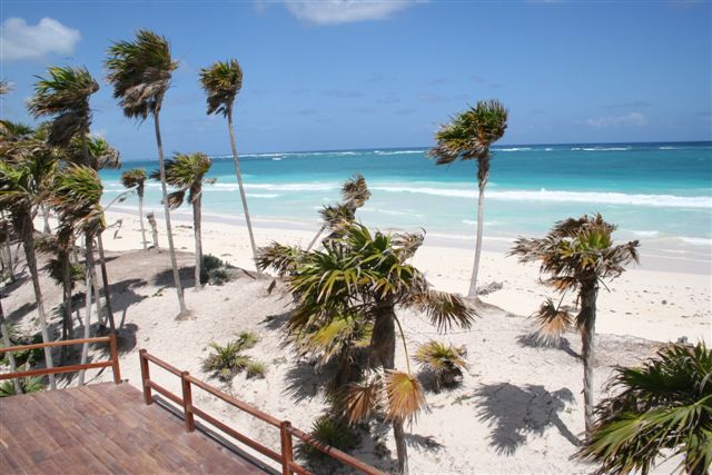 Pelicanos Beach-Thumbnail