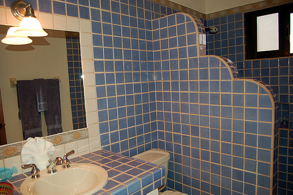 Shared Guest Bath-Thumbnail