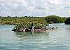 Yal Ku Lagoon-Thumbnail
