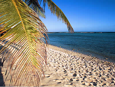Half Moon Beach-Thumbnail