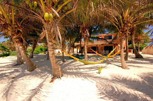 Beach View-Thumbnail