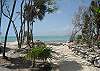 Path to the beach-Thumbnail