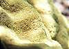 Soft Coral Half Moon Bay-Thumbnail