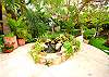 Garden Courtyard-Thumbnail