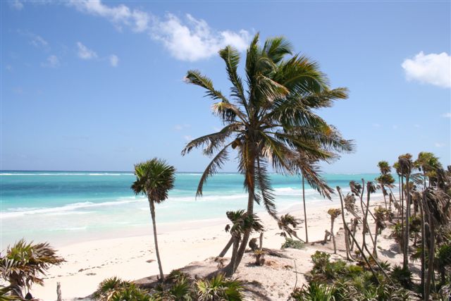 Pelicanos Beach-Thumbnail