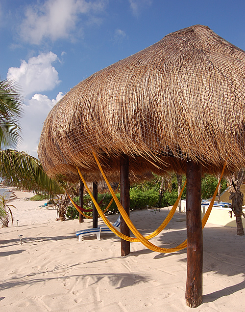 Palapas-Thumbnail