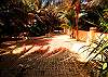 Large driveway at Casa Iguana, Akumal, Mexico-Thumbnail