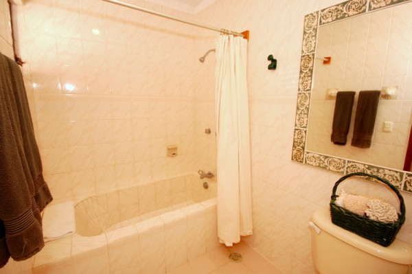 Seven Seas 4 Master bathroom with shower and tub.-Thumbnail