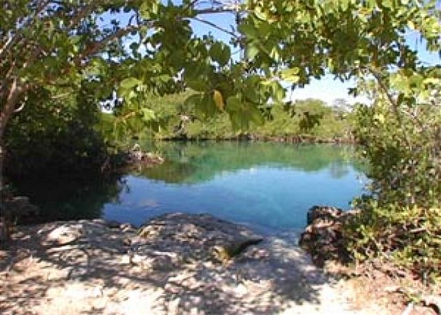 Manatee Cenote-Thumbnail