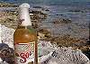 Half Moon Bay Sol Photo by Chris F-Thumbnail