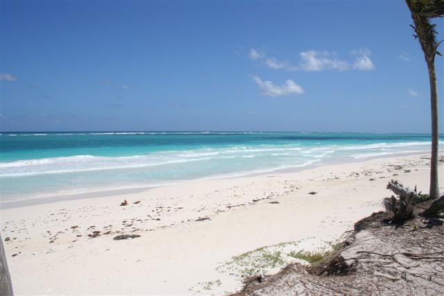 Pelicanos Beach-Thumbnail