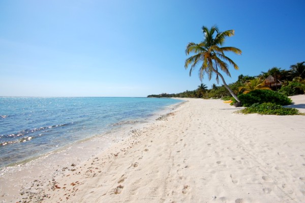 South Akumal beach looking south, Mexico-Thumbnail