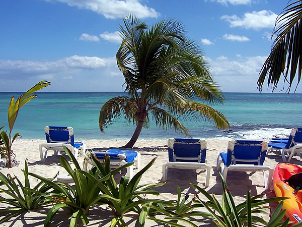 Beach loungers-Thumbnail