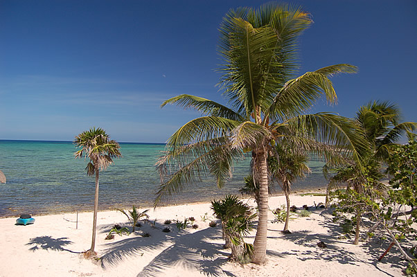 Solimon Bay Beach-Thumbnail