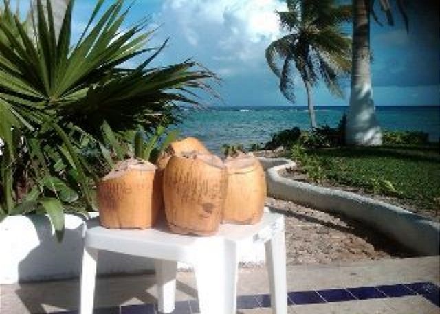 Seven Seas Condos - Cold Coco Water Served Beach Side!-Thumbnail