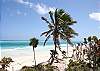 Pelicanos Beach-Thumbnail