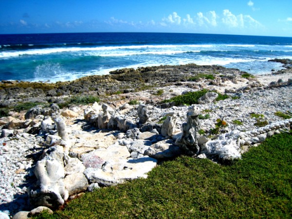 Steps down to the shore and small beach-Thumbnail