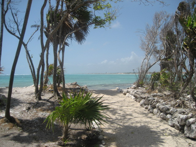 Path to the beach-Thumbnail