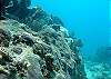 Half Moon Bay Reef-Thumbnail