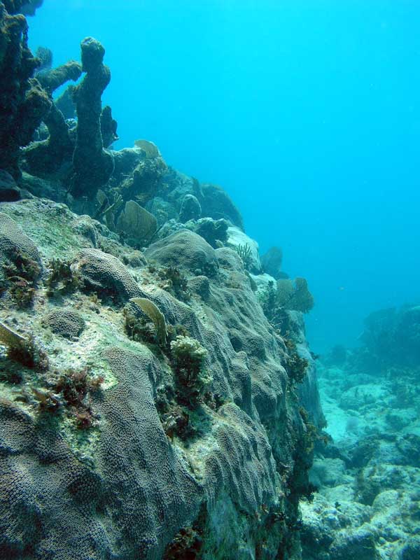 Half Moon Bay Reef-Thumbnail