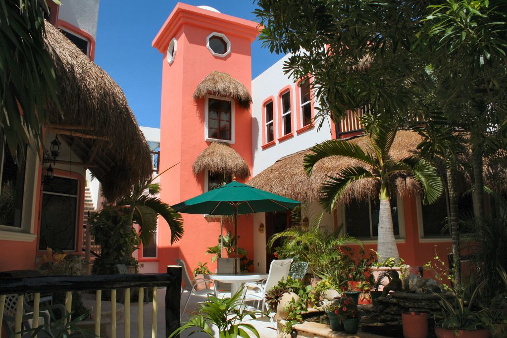 Casa Gatos-Original