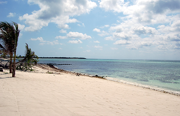 Beach View-Thumbnail