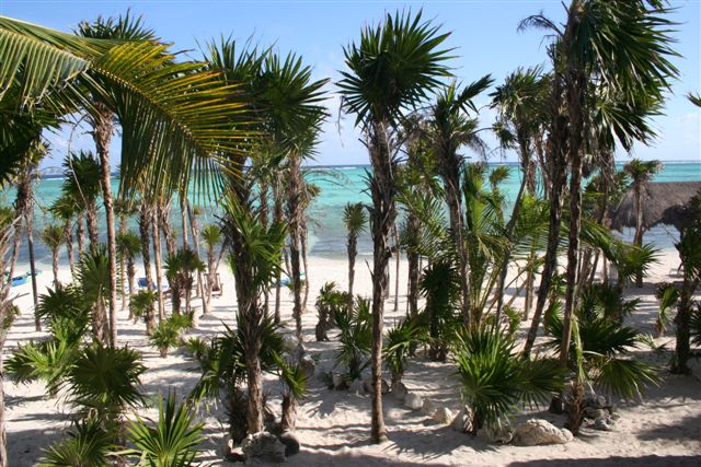 Soliman Bay-Thumbnail