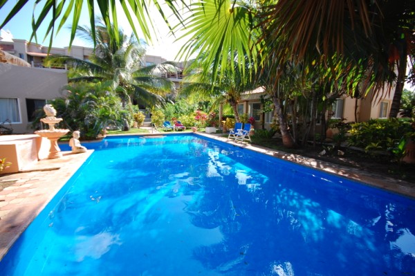 La Iguana / La Sirena Pool-Thumbnail