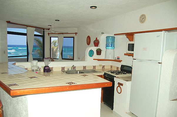 Kitchen View (2)2-Thumbnail