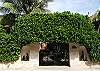 Casa Gatos, Front Wall-Thumbnail
