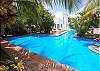 La Sirena pool, Akumal Mexico-Thumbnail