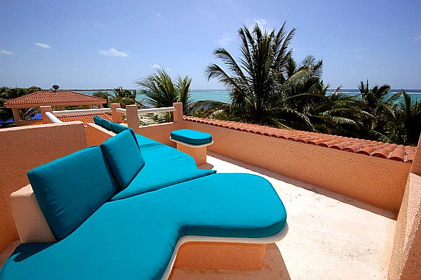 Roof top-Thumbnail