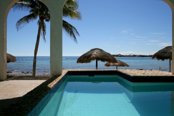 La Iguana Dipping Pool-Thumbnail