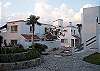 Iguana 14-Thumbnail