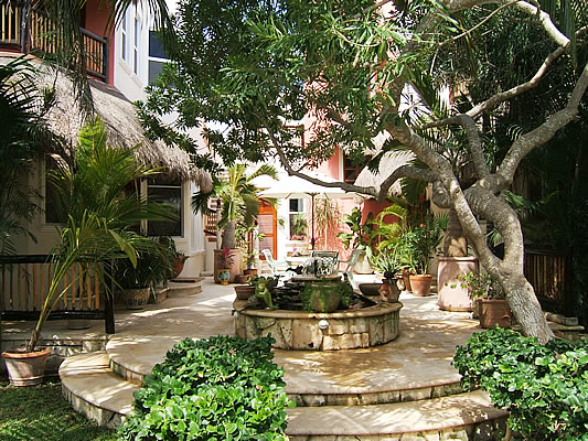 Garden Courtyard, Casa Gatos-Thumbnail