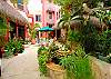 Casa Gatos, Akumal-Thumbnail