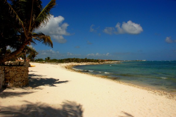 South Akumal beach looking north from Casa San Francisco-Thumbnail