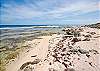 The beach in front of Casa Dena-Thumbnail
