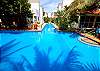 La Sirena pool, Akumal Mexico-Thumbnail