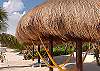 Palapas-Thumbnail