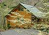Treetop Hideaway 109