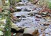 Turtle Creek 509