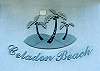 Celadon 202 - 167528
