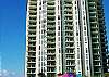 Jade East 1110 - 207028