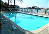Dolphin Cove Clearwater Beach Rental