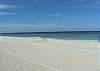 Beach rentals Clearwater Vacation Rental Houses Florida beach rental