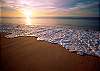 Clearwater Vacation Rental Homes