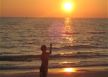 Marco Island Vacation Rentals